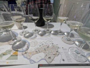 winetasting (Conegliano Valdobbiadene DOCG Prosecco Tasting)