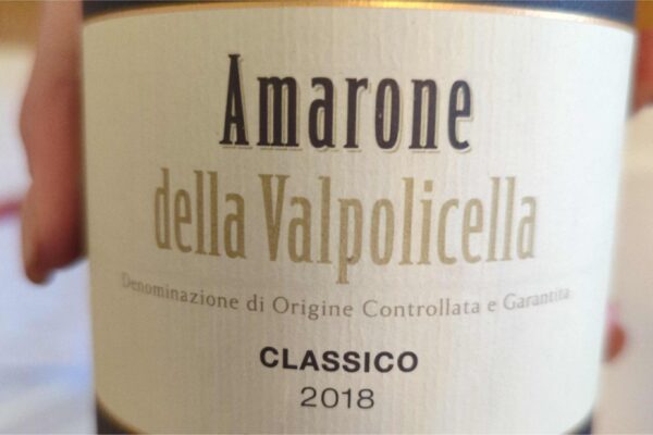 Understanding Valpolicella and Amarone
