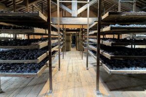appassimento4 (Understanding Valpolicella and Amarone)