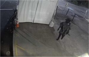 pirate (Man Dressed as a Pirate Destroys 5,000 Gallons of White Wine)