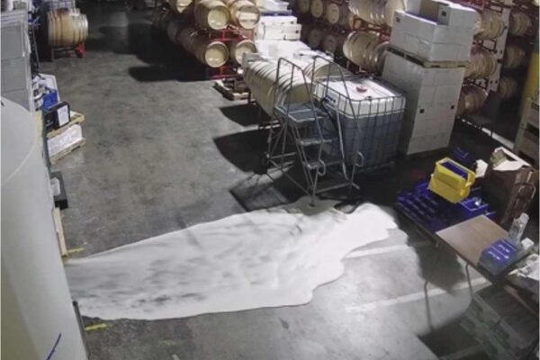 Man Dressed as a Pirate Destroys 5,000 Gallons of White Wine