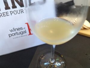 cloudy (Wines of Portugal Tasting)