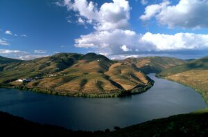 douro (Understanding Portuguese Wines)