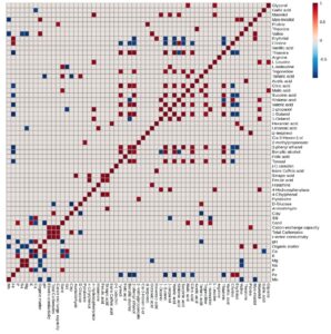 soiltowinemakeup (Soil Affects Wine Taste, But Not How You Might Expect)
