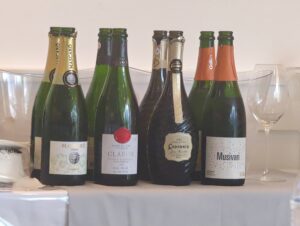 tastingwines (Wines from Spain Tasting)