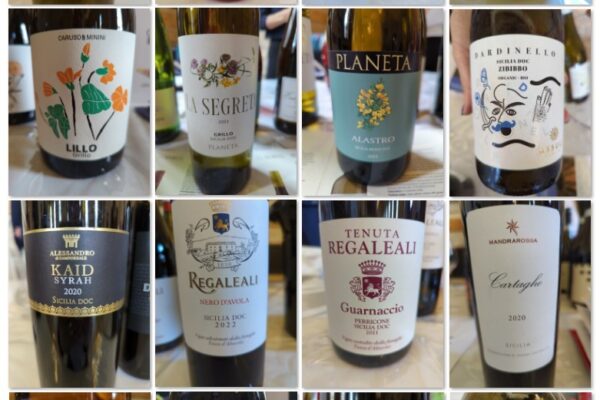 Wines of Sicilia DOC Tasting