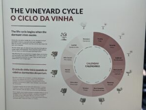 wowcycle (Porto World of Wine)