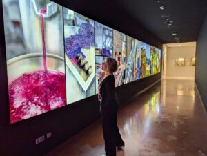 wowvisuals (Porto World of Wine)