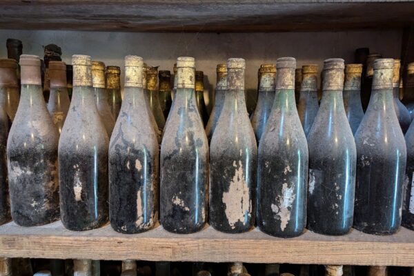 Reducing the Cost and Time of Wine Ageing?