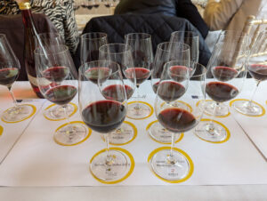 monastrellglasses (Monastrell Masterclass and Tasting)