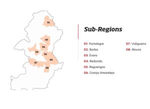 alentejo (Understanding Wines of Alentejo, Portugal)