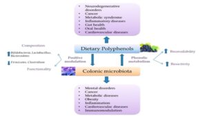 wineneurohealth (Wine, Neuroprotection and Gut Health)