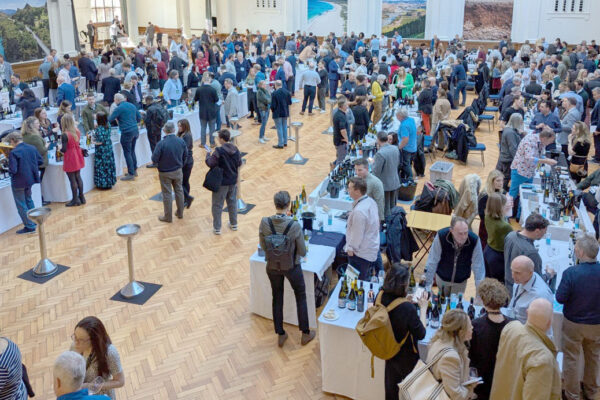 Reflections on Large Wine Tastings