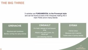 rosegrapes (Understanding Provence Rosé)