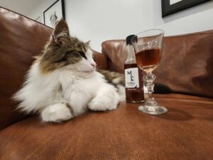 muttleysestate (Catnip Wine for Cats)