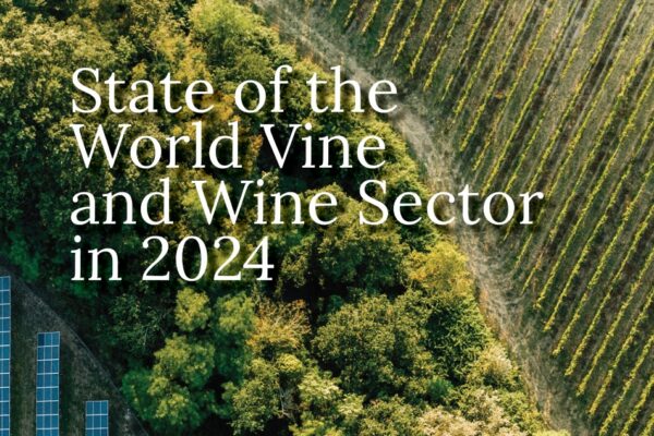 Global and UK Wine Market Insights
