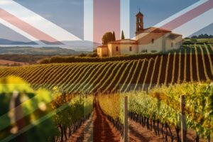 spainbrexit (UK Tariffs Impact Spanish Wines)