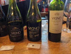 vigno (Old Vine Conference)