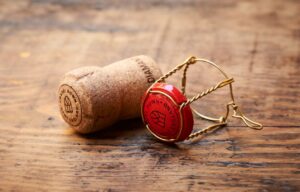 chapeldownjpg (Chapel Down Drops £32m Winery Plan But Keeps Sales Sparkling)