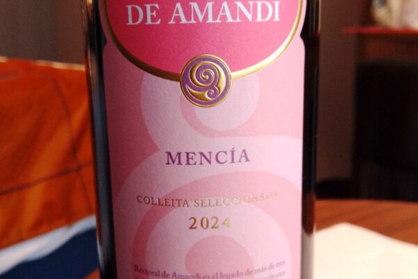 Rectoral de Amandi Mencía