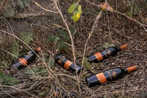 discardedbottles (25 Kooliburra Shiraz Dumped in Countryside)