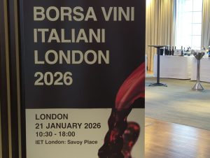 rotated_wine_photo_1768998817424 (Borsa Vini Italiani)
