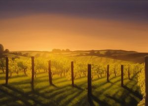 winecauseandeffect (Learn About Wine Through Cause and Effect)