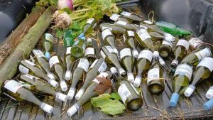 villamariadumped (Mystery Wine Bottle Dumping Leaves East Yorkshire Villagers Baffled)