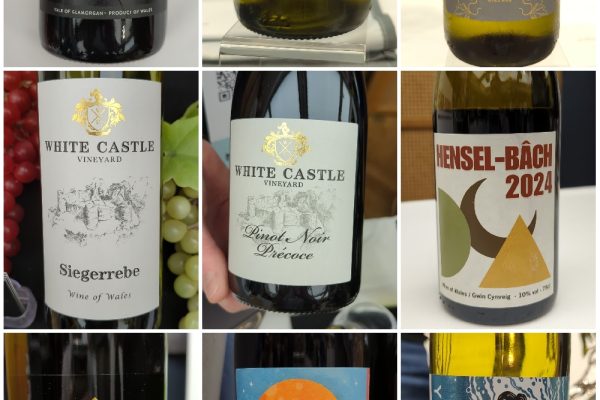 Welsh Wine Showcase