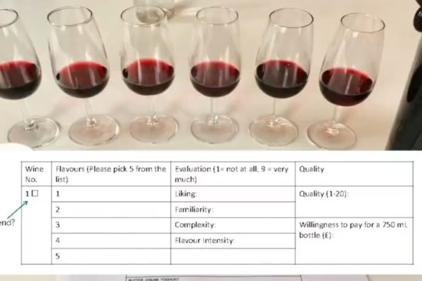 Research into Wine Complexity