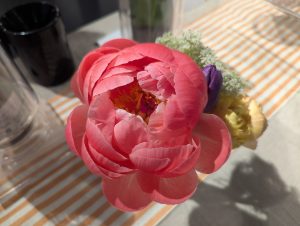sainburyspeony (Sainsbury’s Spring Summer Tasting)