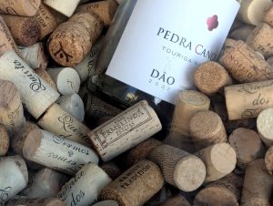 corks (New Research Into Wine Corks and Oxygen)