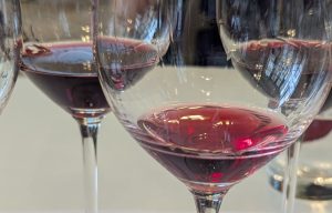 tanninsinwine (Understanding Tannin)