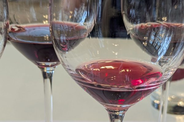 Understanding Tannin