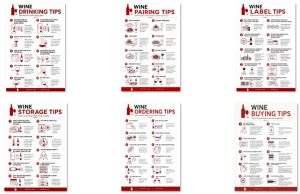 wine tips (New Wine Infographics)