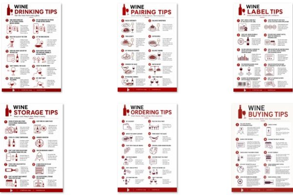 New Wine Infographics