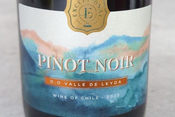 Exceptional Chilean Pinot Noir